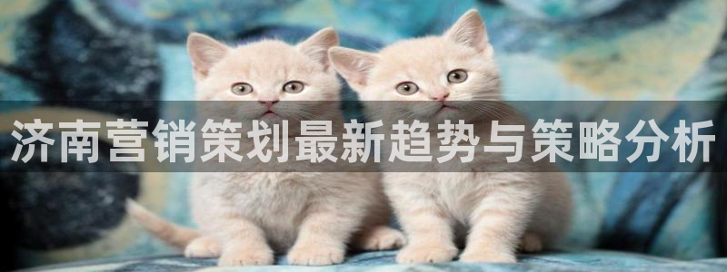 必赢国际a600典ccapp