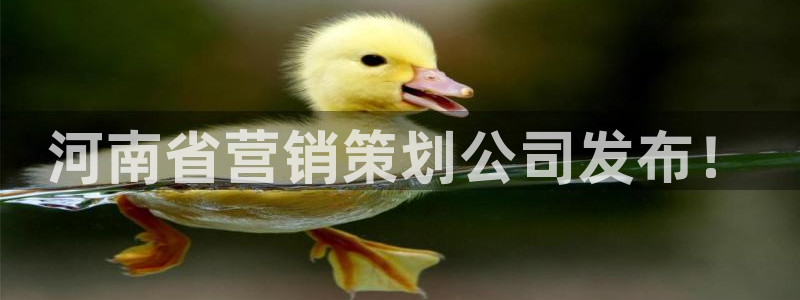 必赢手机app下载 最新版安装
