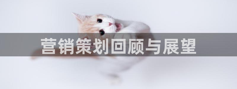 必赢网站是多少啊