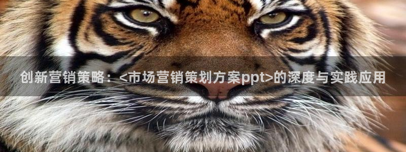 必赢网址手机主页