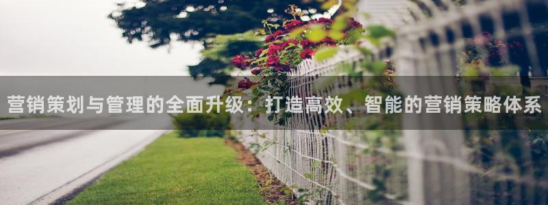 必赢官网app下载苹果