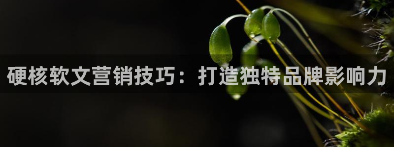 必赢最新消息