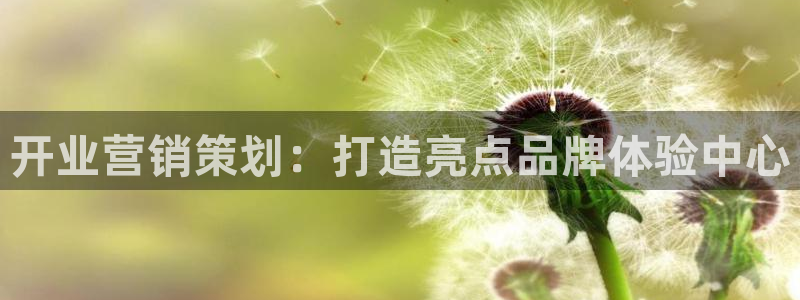 必赢国际437官网版
