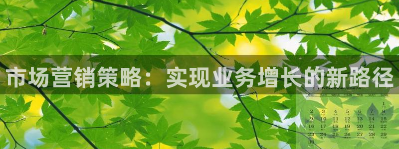 必赢科技