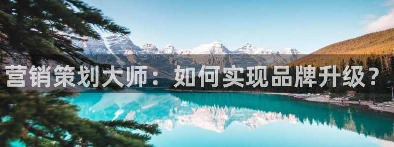 必赢国际437官网版