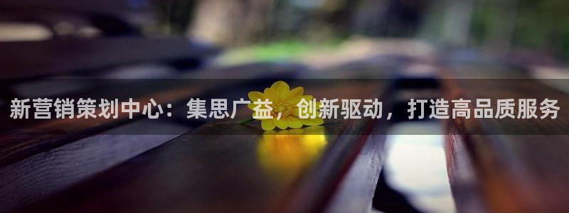 必赢最新
