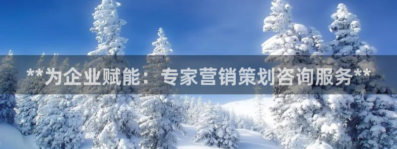 必赢公司