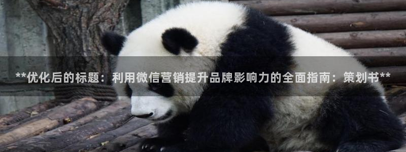 必赢516net怎么进