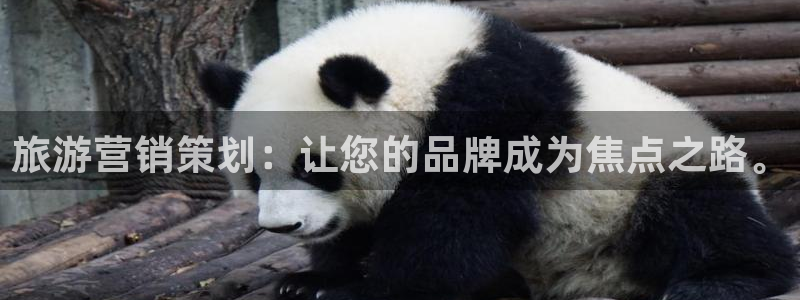 必赢下载安卓版下载