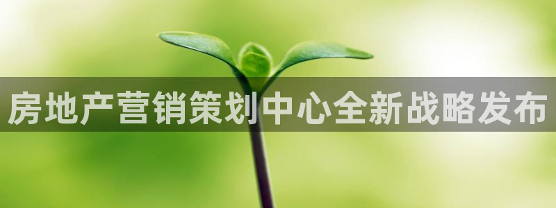 必赢官网app下载
