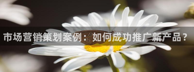 必赢亚赢网站官网下载
