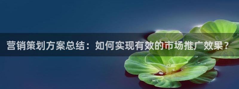 必赢线上网址