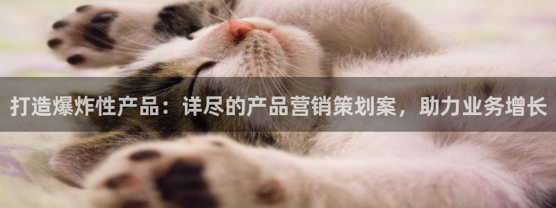 必赢科技中国有限公司