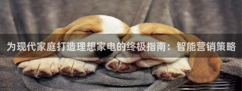 必赢棋盘官网版