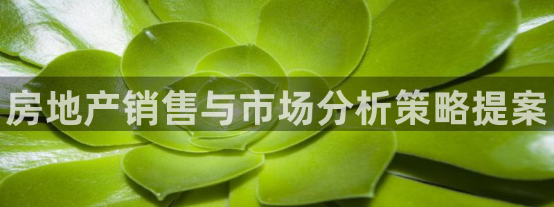 必赢棋盘app下载官网