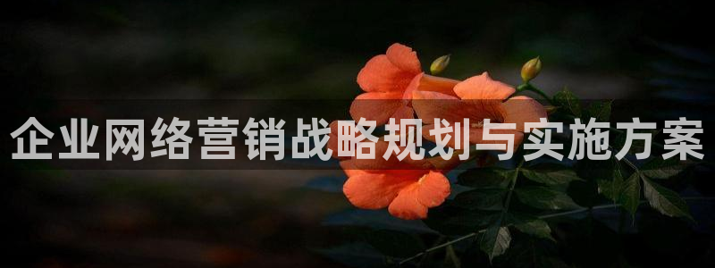 必赢线上网址是多少
