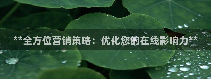 必赢app客户端下载