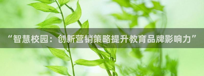 必赢app能挣钱吗是真的吗