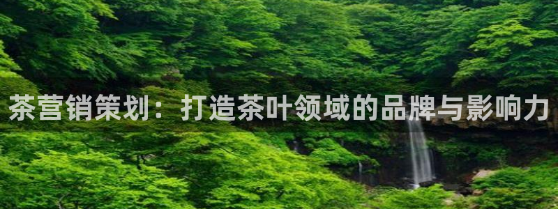 必赢网址谁知道是真的