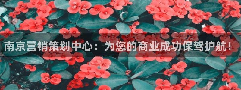 必赢下载二维码