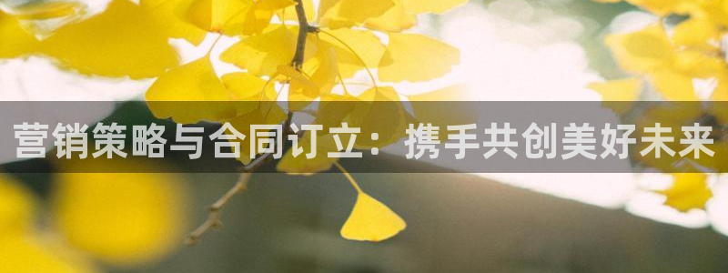 必赢3003 会员账号