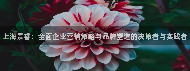 必赢棋盘官网版