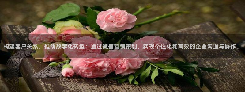 必赢官网下载安装