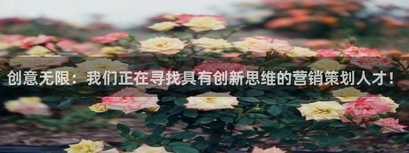 必赢国际437app下载