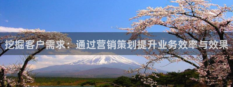 必赢网站打不开