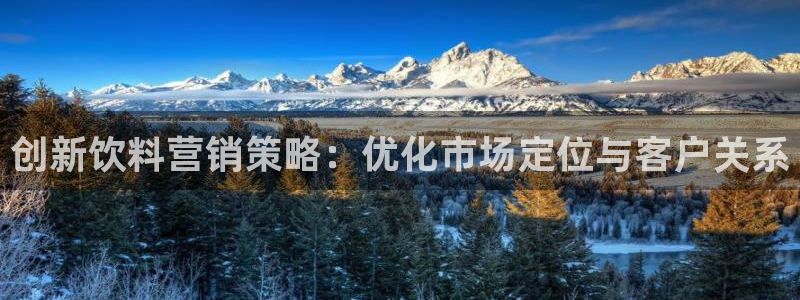 必赢科技有限公司