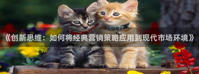 必赢官网入口下载app