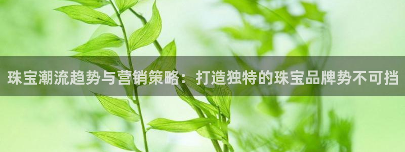 必赢app安卓版下载
