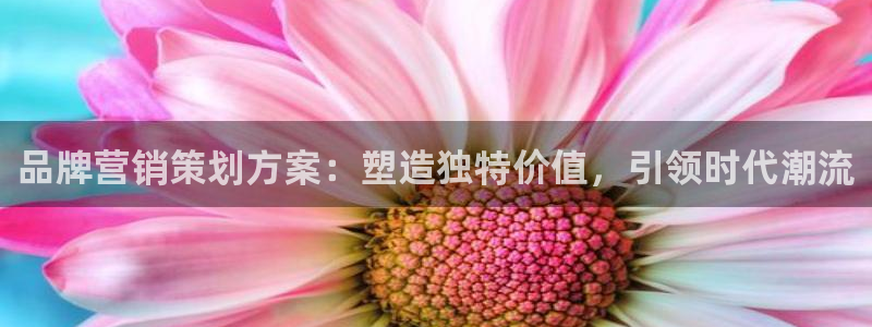 必赢网址