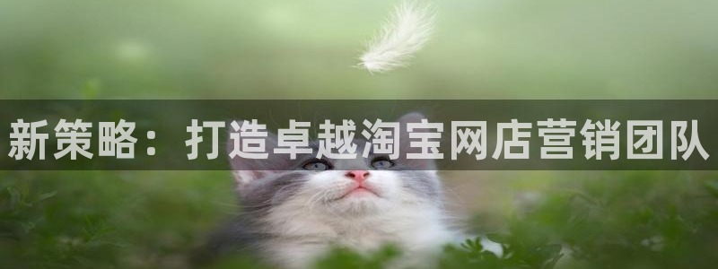 必赢net.95