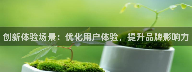 必赢集团