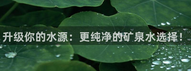必赢手机app下载 最新版苹果