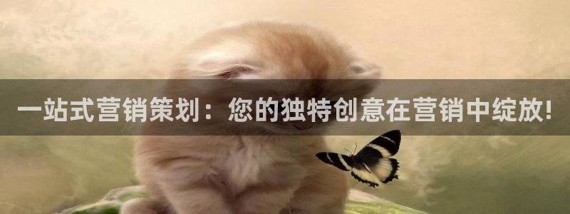 必赢网址谁知道是真的