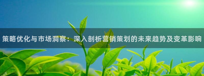 必赢最新官网：策略优化与市场洞