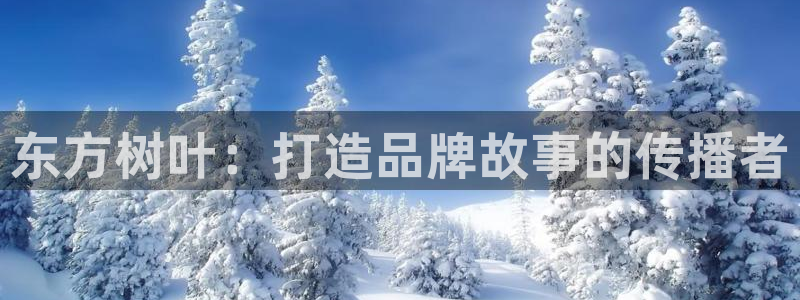 必赢手机app下载官网最新版：