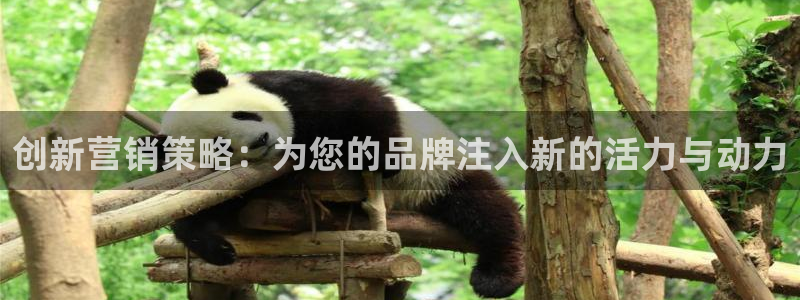 必赢官网app下载安装手机版苹果