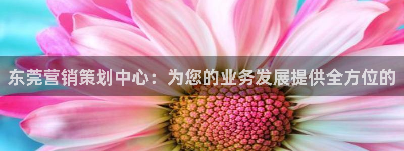 必赢app能挣钱吗安全吗