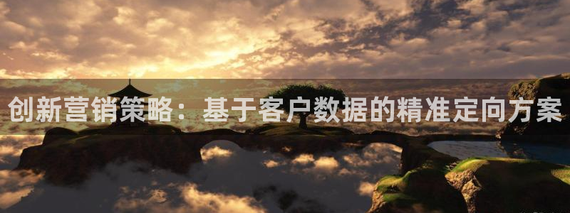 必赢科技有限公司