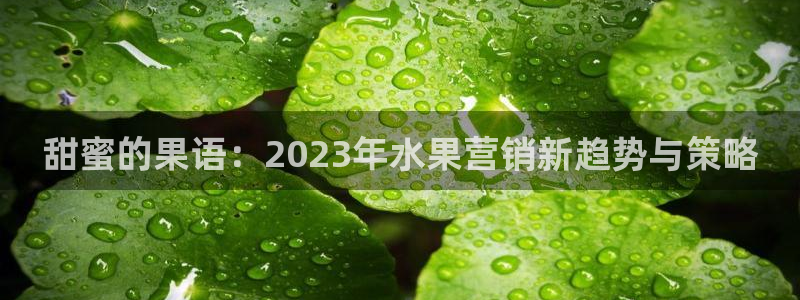 9965必赢游戏特色