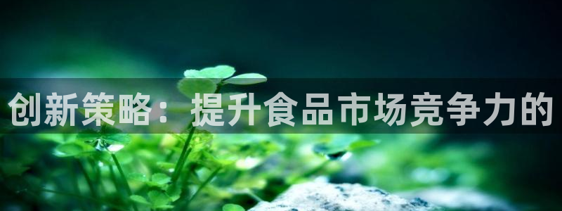必赢集团怎么样：创新策略：提升