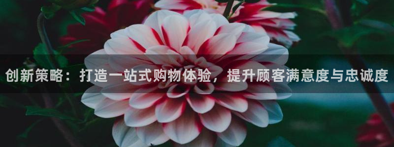必赢平台怎么样知乎：创新策略：
