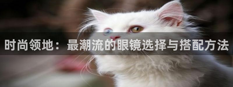 必赢平台怎么样