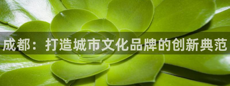 必赢官网下载安装