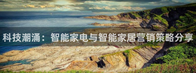 必赢网站打不开