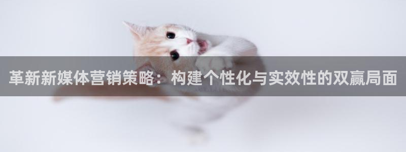 必赢官网网站入口下载：革新新媒