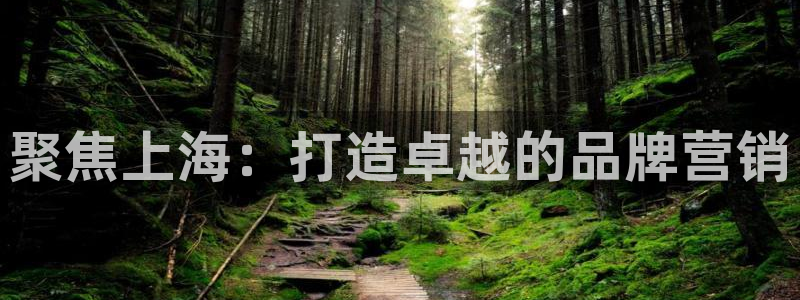 必赢网址谁知道是真的：聚焦上海